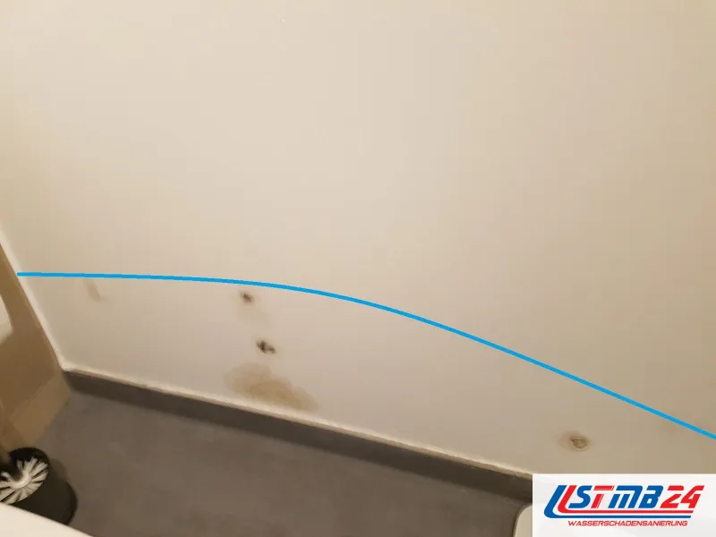 Dokumentation im Foto: blaue Linie markiert die Feuchtegrenze über braunen Wasserflecken an der Wand im WC