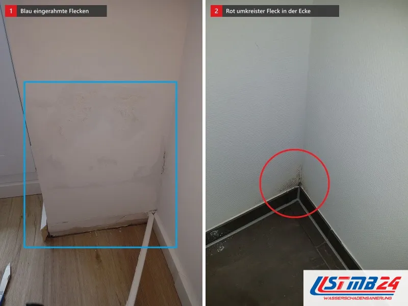 Zwei Ansichten: Wand mit blau eingerahmten Flecken über einem Holzboden, daneben Wandecke über dunklem Boden mit rot umkreistem Fleck