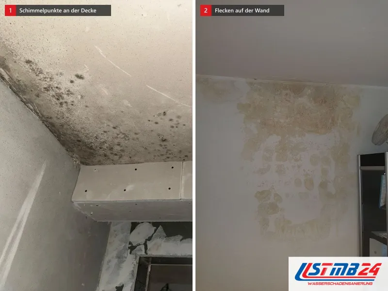 Zwei Ansichten: Decke mit dunklen Schimmelpunkten über einem Trockenbaukasten, daneben Wand mit großflächigen Flecken