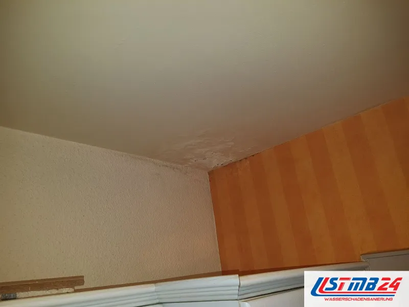 Raumecke unter der Decke über einem Schrank, abgeplatzte Farbe und dunkle Schimmelpunkte an der Kante zur gestreiften Tapete