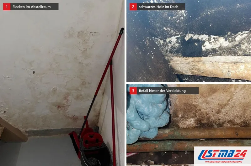 Drei Ansichten: fleckige Wand mit Salzrändern im Abstellraum, schwarz verfärbtes Dachholz und Schimmel hinter einer abgenommenen Verkleidung