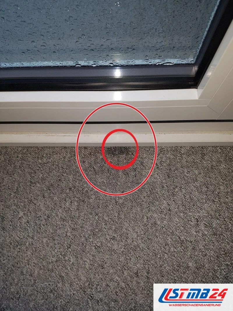 Dachfenster mit Regentropfen auf dem Glas, darunter ein dunkler Fleck im Teppich an der Brüstung, rot umkreist, ein roter Kreis markiert die Stelle