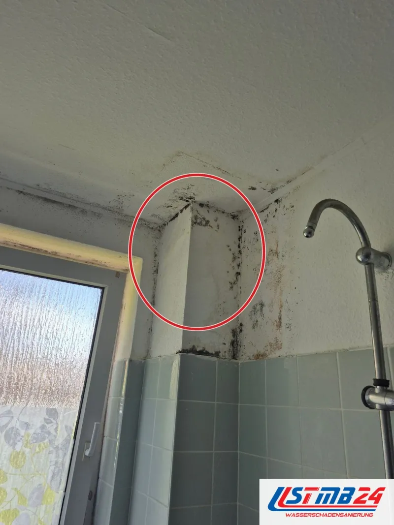 Befall an Decke und Fensterlaibung über hellblauen Wandfliesen neben der Duschstange, ein roter Kreis markiert die Stelle
