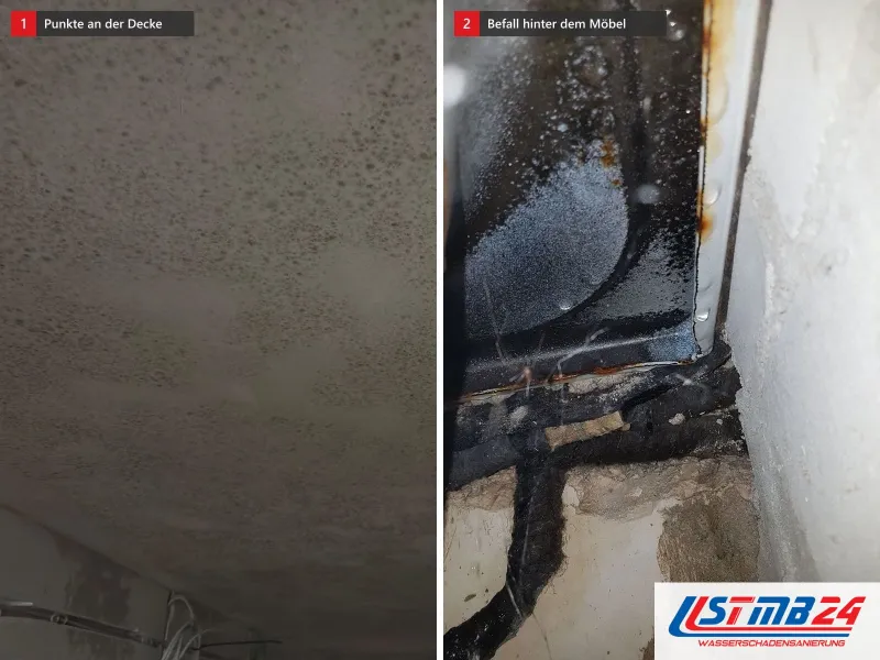 Zwei Ansichten: Decke mit dichten Schimmelpunkten, daneben schwarzer Schimmel an der Wand hinter einem Möbel