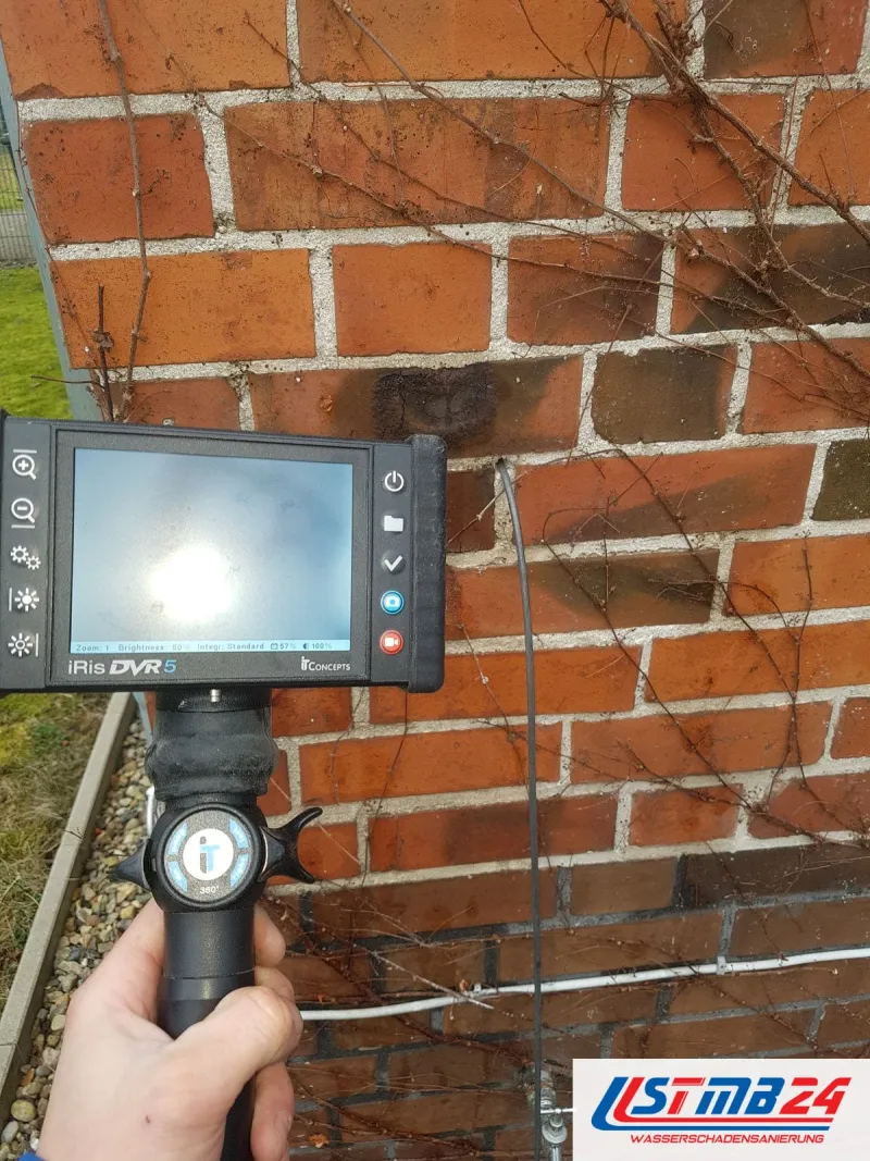 Endoskop mit Monitor in der Hand vor einer Klinkerwand mit Ranken, das Kabel führt am Sockel nach unten in die Wand