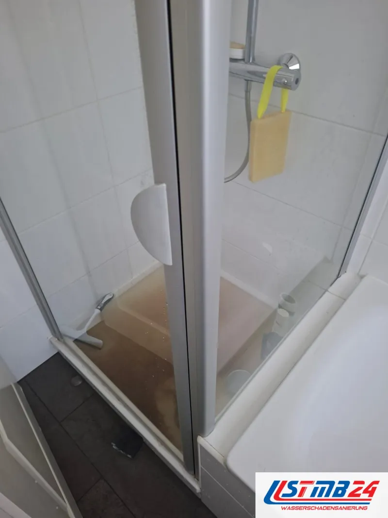 Duschkabine mit Glastür, in der Duschtasse steht braunes Wasser bis an den Rand, daneben eine Badewanne