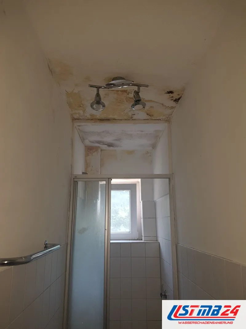 Schmales Bad mit Duschkabine und Fenster, an der Decke um die Strahlerleiste gelbbraune Wasserflecken und dunkle Ränder