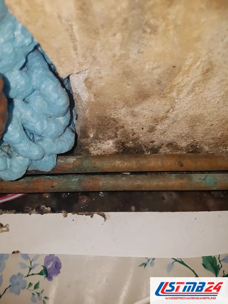 Wand hinter einer abgenommenen Verkleidung: Kupferrohre, blauer Bauschaum und dunkler Schimmel, unten Tapete mit Blumenmuster