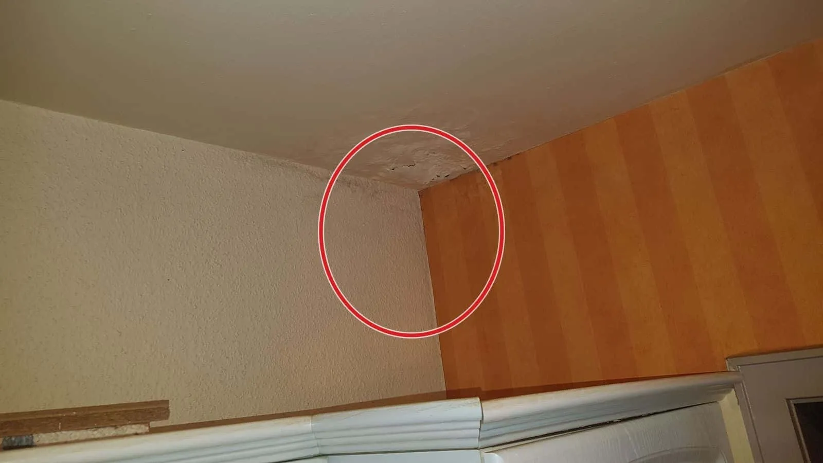 Deckenecke mit Wasserflecken über einer orange gestreiften Tapete