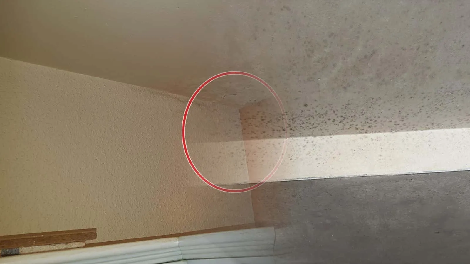 Decke mit Schimmelpunkten entlang eines Unterzugs