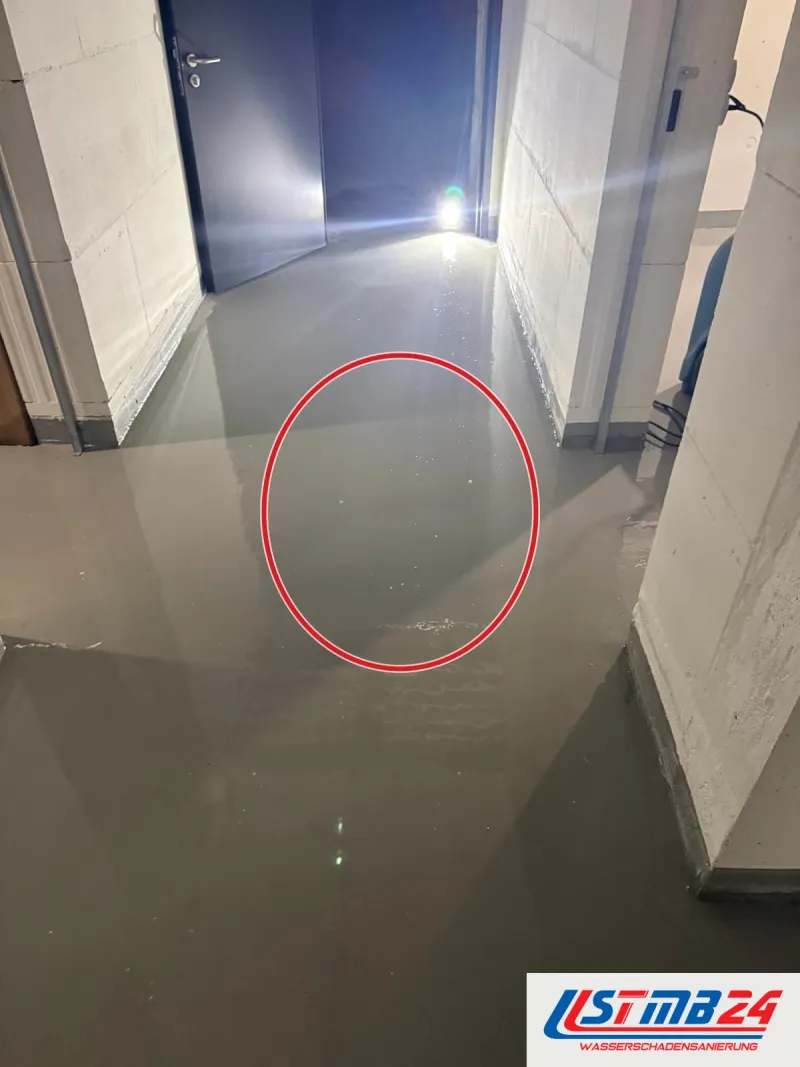 Kellergang mit stehendem Wasser, am Ende leuchtet ein Baustrahler durch die offene Tür, ein roter Kreis markiert die Stelle