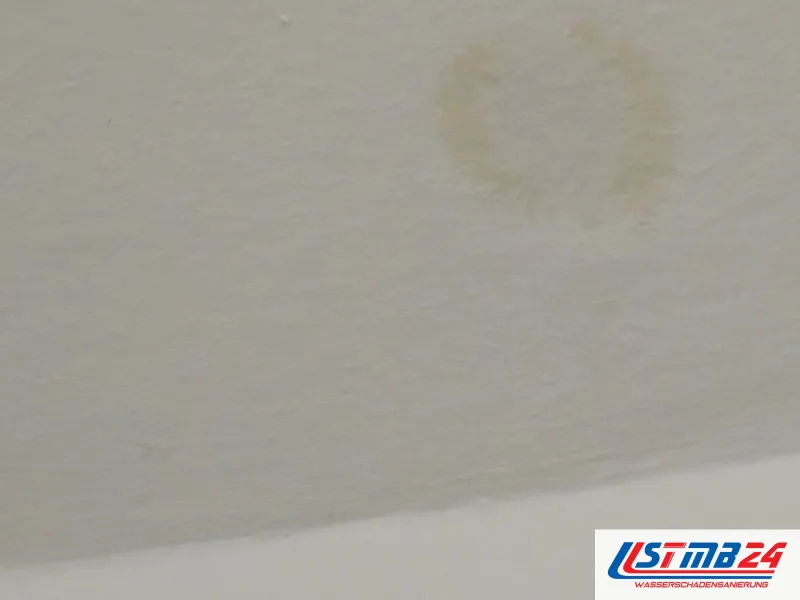 Heller, gelblicher Wasserring auf einer glatten weißen Zimmerdecke, nah aufgenommen