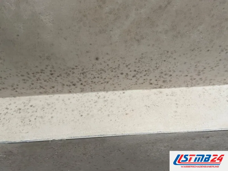 Dichte graue Schimmelpunkte auf einer Betondecke, quer darunter ein heller Unterzug