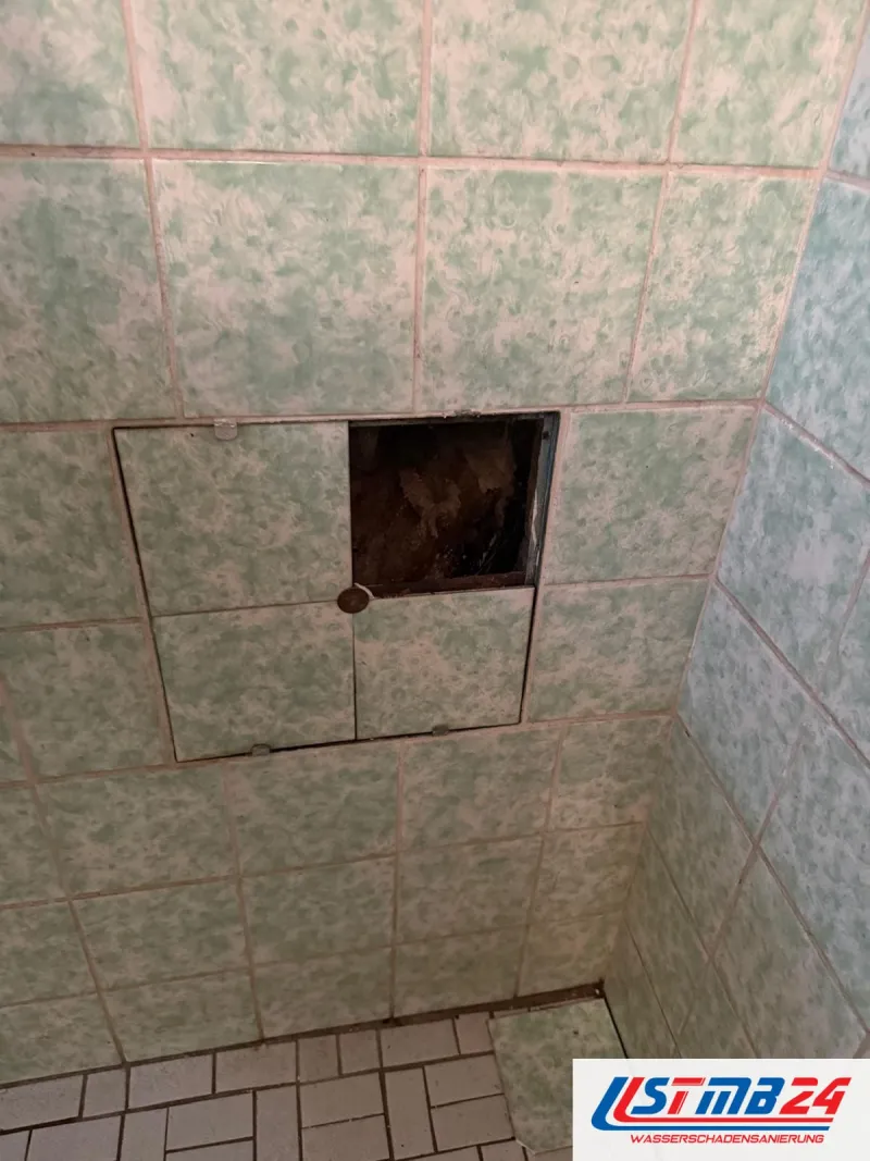 Grün gemusterte Fliesenwand im Bad, ein quadratisches Feld ist herausgenommen, dahinter der dunkle Hohlraum