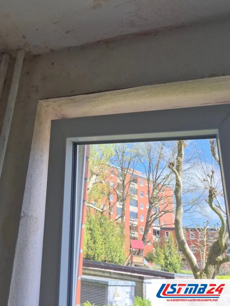Fensterlaibung mit schwarzem Schimmel an Wand und Deckenkante, draußen Bäume und Häuser