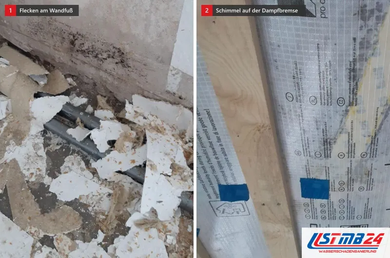 Wand mit dunklen Feuchteflecken und Putzbrocken am Boden, daneben eine Dampfbremse zwischen Holzlatten mit Schimmelflecken