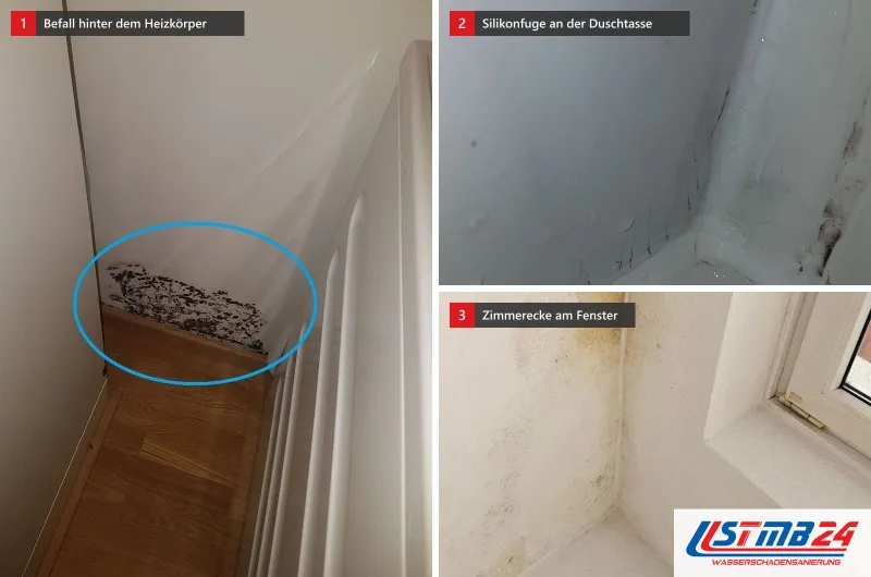 Schwarzer Befall in einer Ecke hinter dem Heizkörper, schwarze Stellen in der Silikonfuge einer Duschtasse und eine fleckige Zimmerecke am Fenster