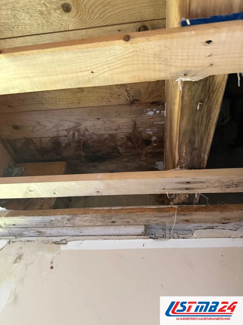 Offene Holzbalkendecke von unten, zwischen den Balken dunkel verfärbte Bohlen und Reste alter Schalung