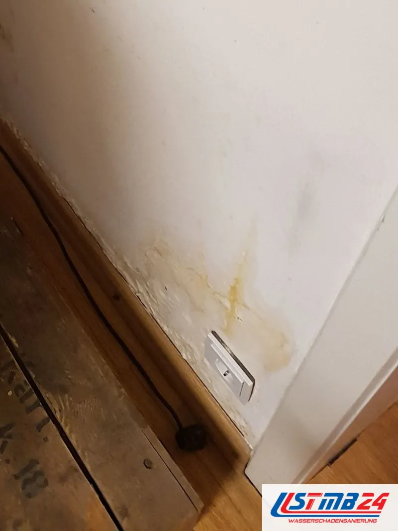 Wandecke über einem Holzboden, vom Sockel aus zieht sich dunkler Schimmel nach oben