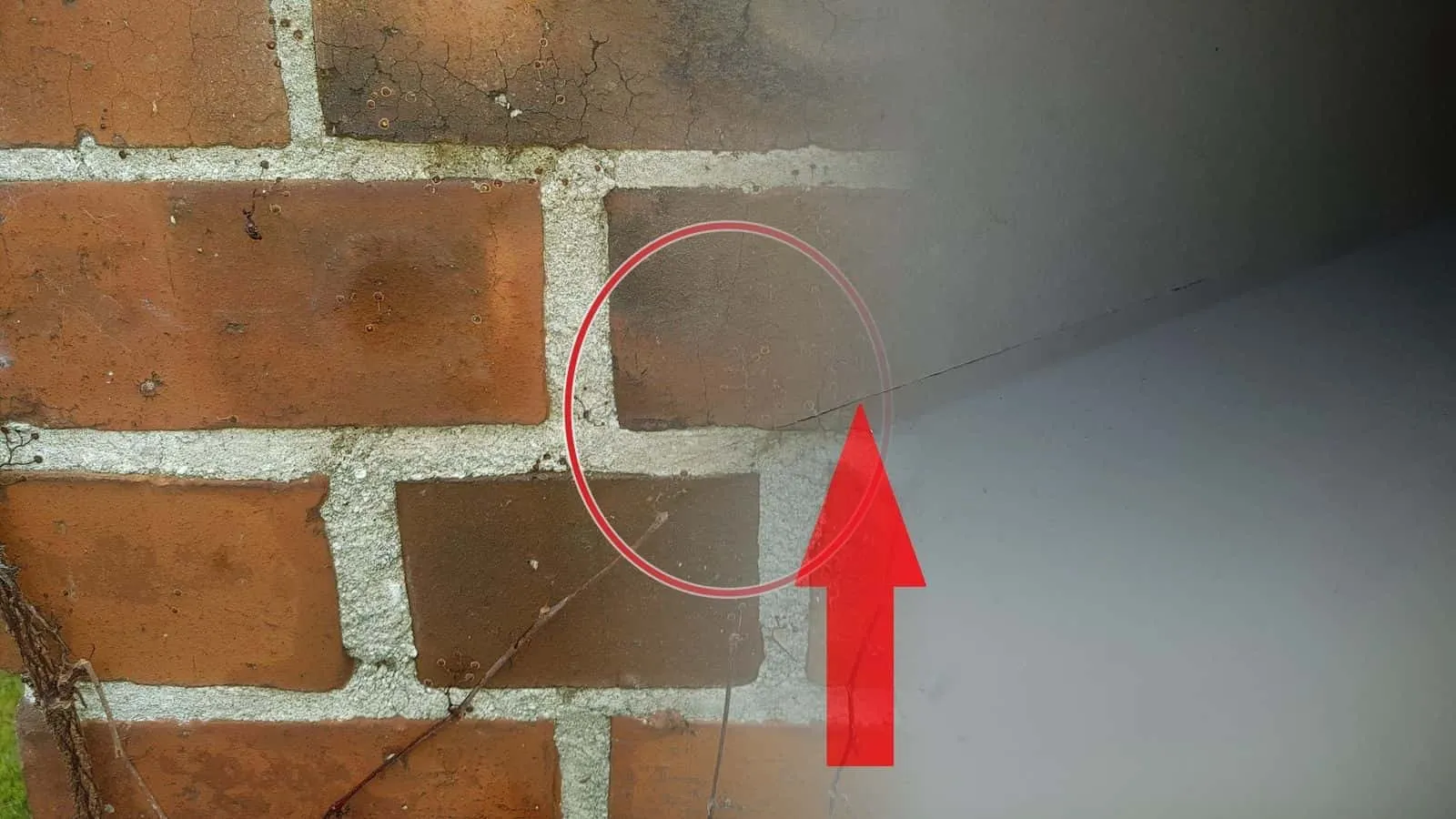 Roter Pfeil auf die Fuge zwischen Wand und Boden