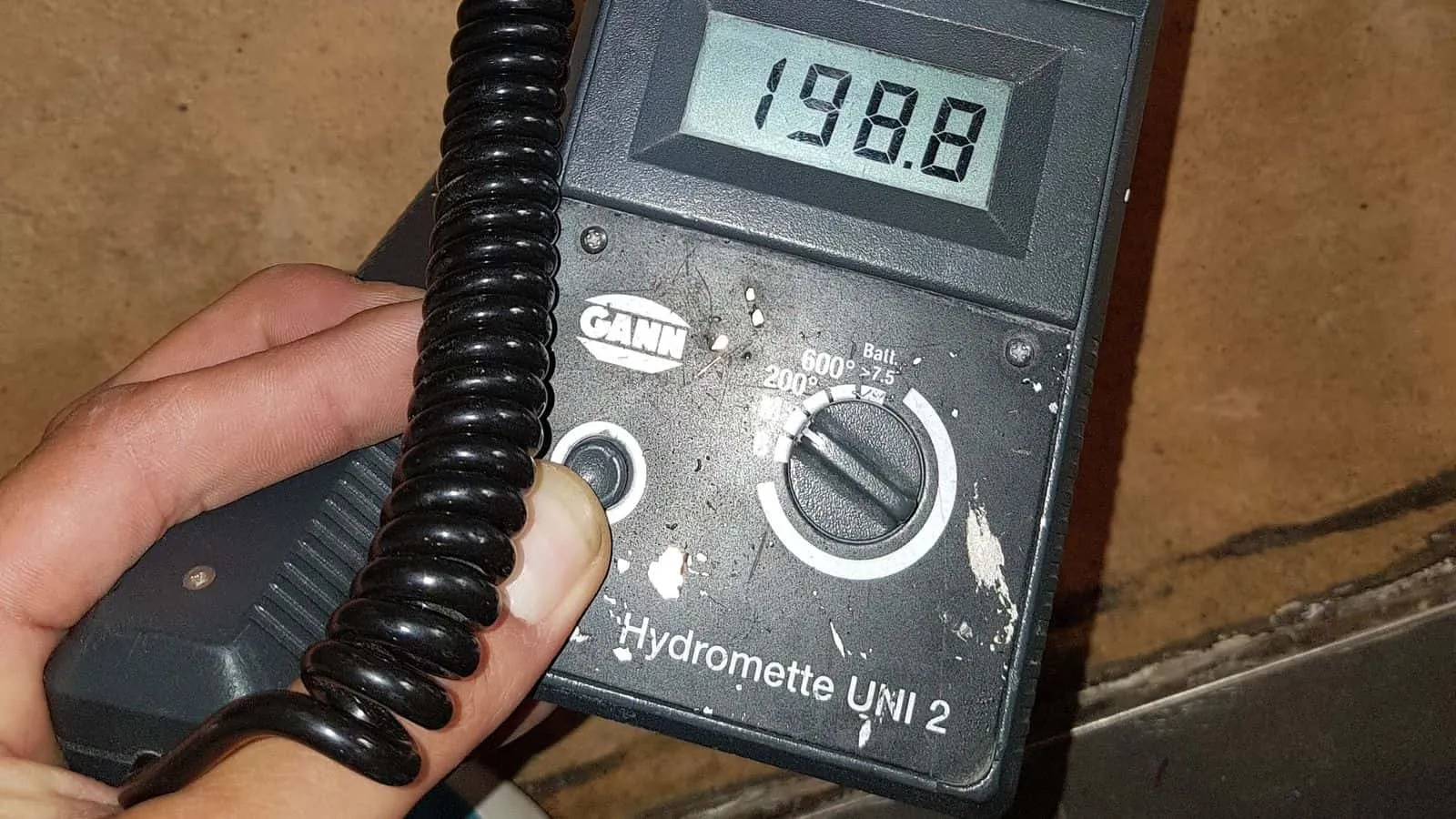 Messgerät mit der Anzeige 198,8 in der Hand, dahinter eine dunkel durchnässte Kellerwand