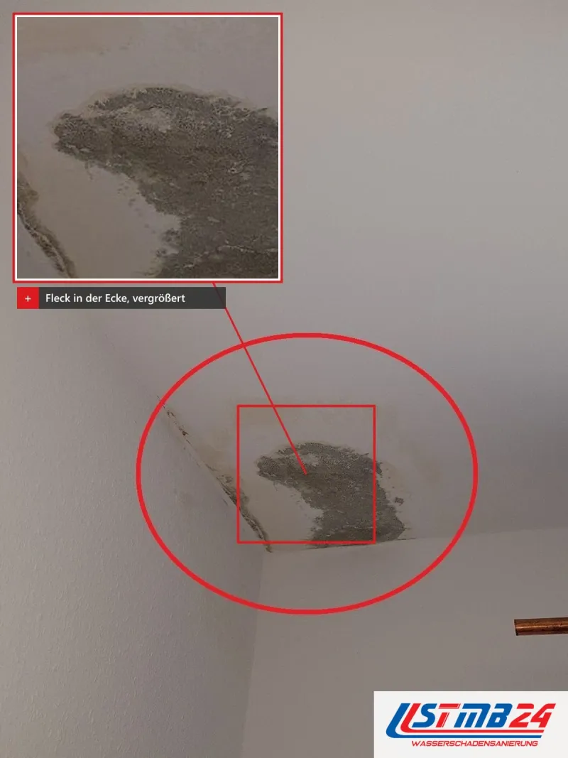 Deckenecke mit grauem Fleck, rot umkreist und vergrößert eingeblendet