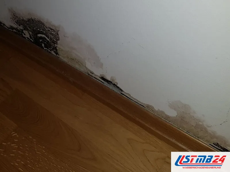 Wand mit dunklem Schimmel am Sockel, darunter eine Leiste über hellem Holzboden