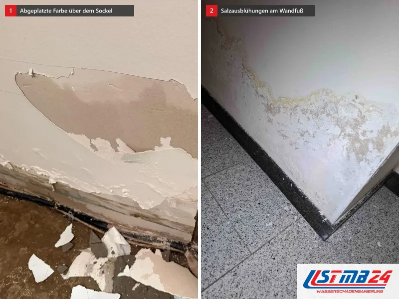 Zwei Ansichten: Kellerwand mit abgeplatzter Farbe über dem Sockel, daneben Wandfuß mit weißen Salzausblühungen über gesprenkelten Fliesen