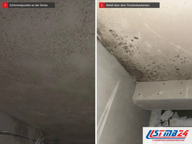 Zwei Ansichten: Decke mit dichten Schimmelpunkten, daneben Decke mit dunklen Punkten über einem Trockenbaukasten aus verschraubten Gipskartonplatten