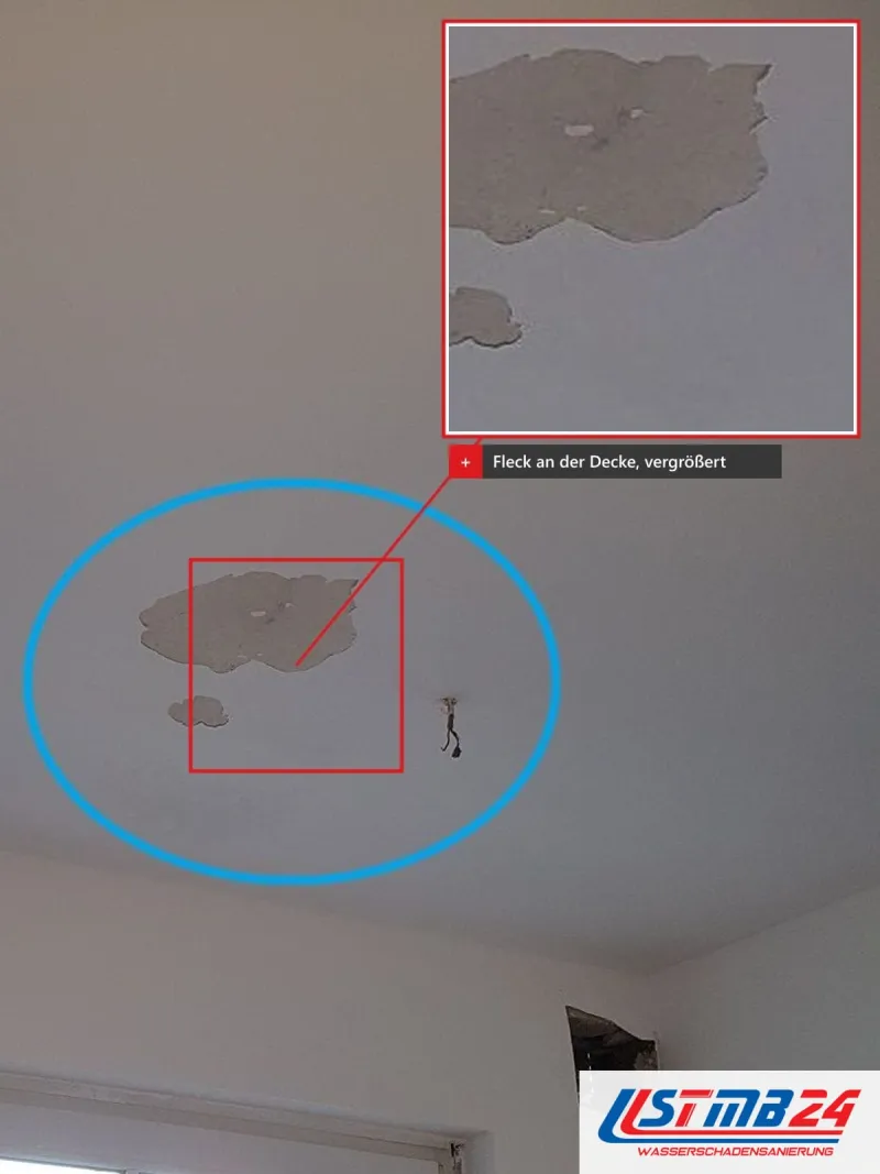 Helle Zimmerdecke über einem Sprossenfenster, blau umkreist ein grauer Wasserfleck, vergrößert eingeblendet