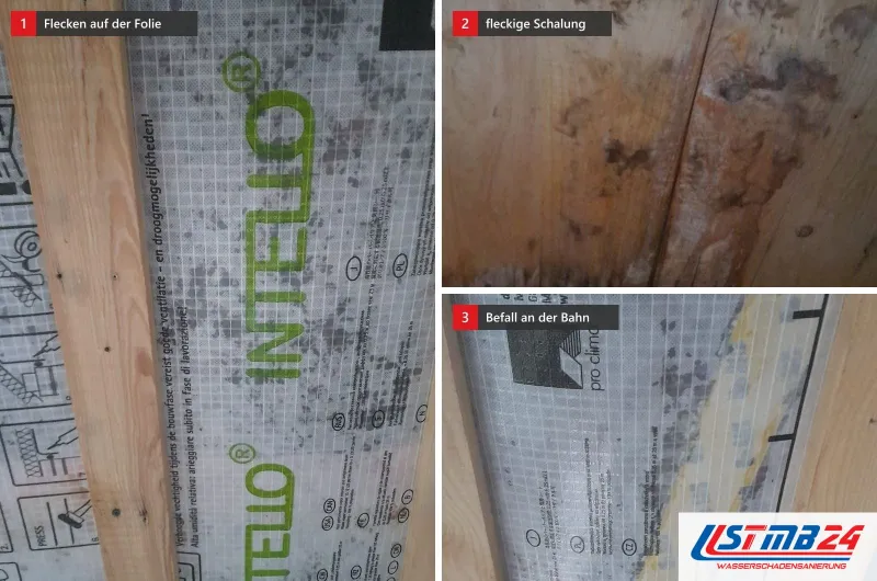 Drei Bilder aus einer offenen Dachdecke: graue Flecken auf der Dampfbremse, fleckige Holzschalung und Befall entlang einer Folienbahn