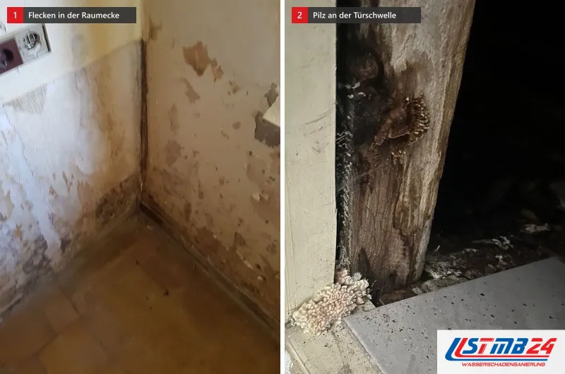 Zwei Bilder: links eine Raumecke mit abgeplatzter Farbe und Feuchteflecken, rechts eine weggefaulte Türschwelle aus Holz mit weißem Bewuchs