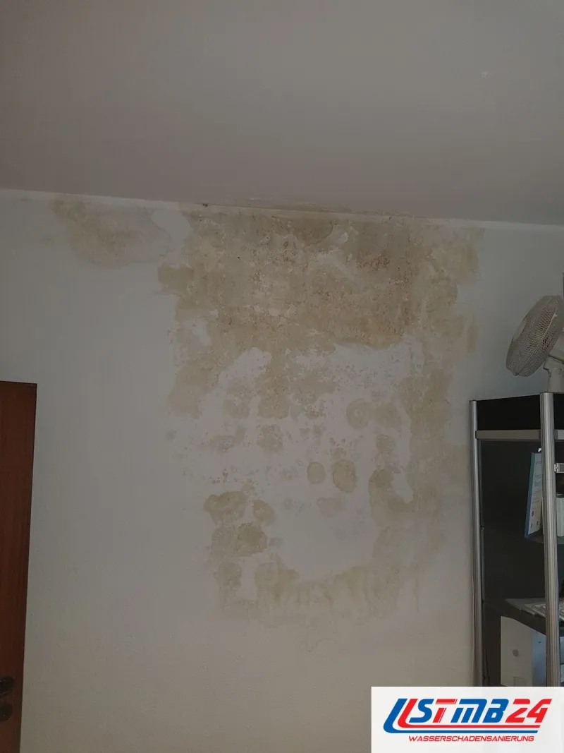 Helle Wand unter der Decke mit großflächigen gelblichen Feuchte- und Schimmelflecken, rechts ein Regal und ein Ventilator