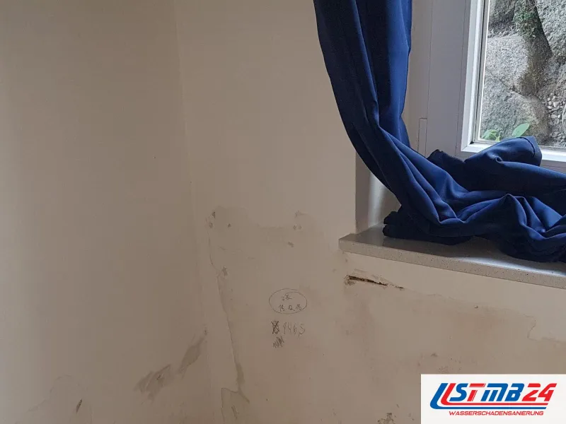 Wasserränder und blätternde Farbe an einer Kellerwand unter dem Fenster, am Fenster ein blauer Vorhang