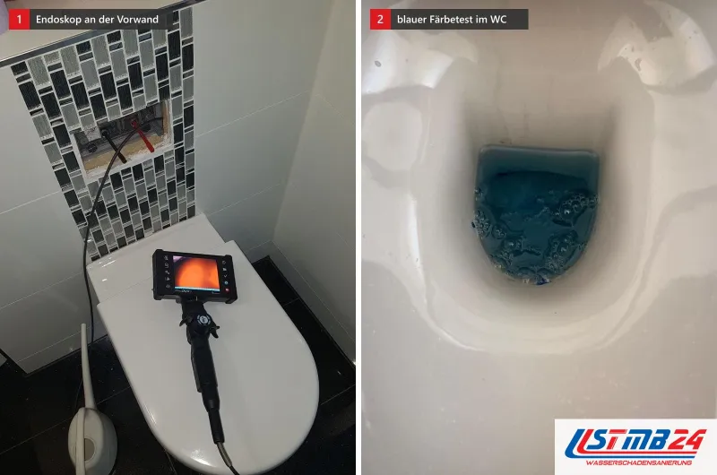 Vorwand mit Mosaikstreifen, auf dem WC ein Endoskop mit Monitor, daneben ein WC mit blau gefärbtem Wasser