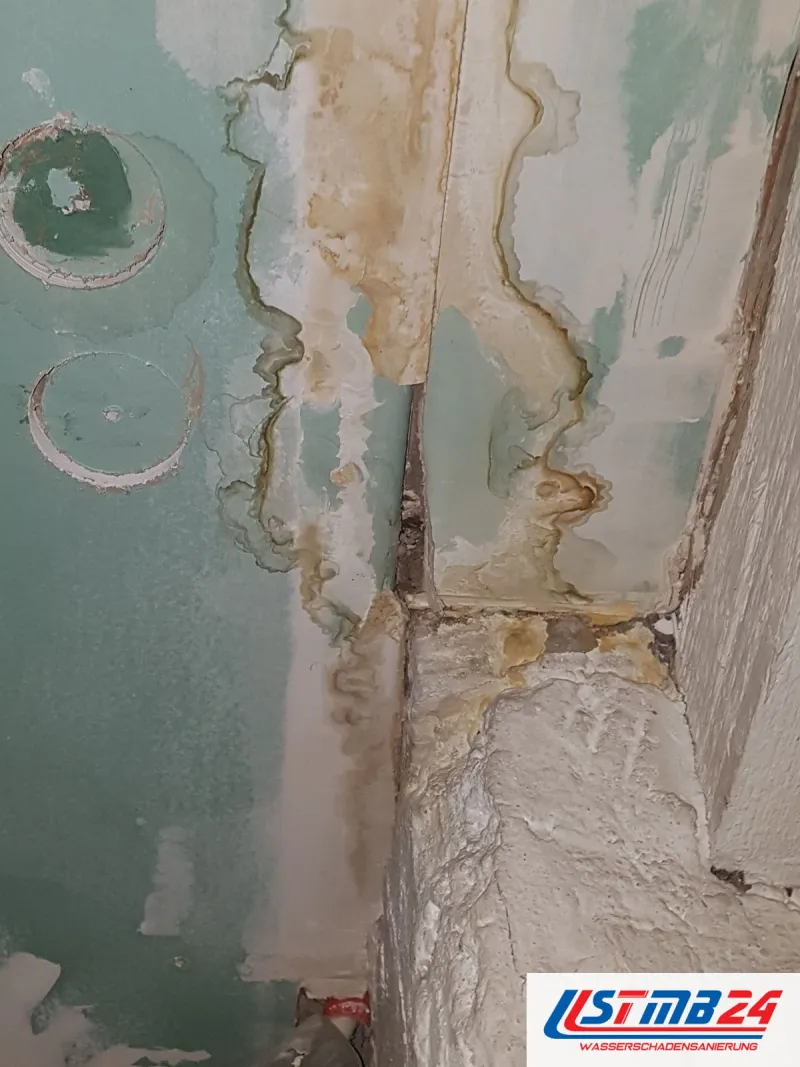 Braune Laufspuren auf einer mintgrünen Wand, die Farbe blättert, in der Wand runde Leitungsöffnungen