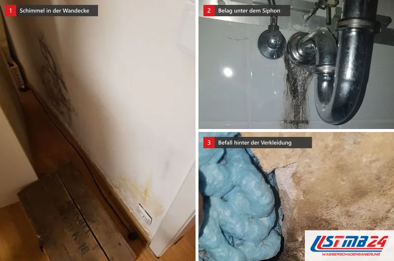 Schimmel in einer Wandecke über dem Holzboden, schwarzer Belag unter einem Siphon und dunkler Befall hinter einer abgenommenen Verkleidung