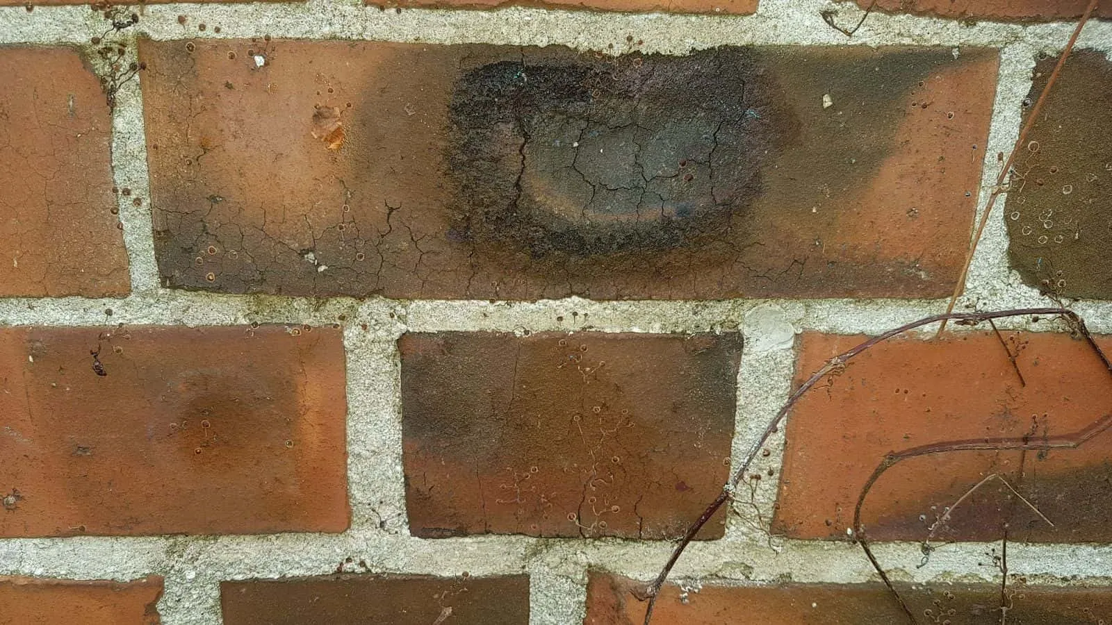 Klinkerwand mit dunklem Feuchtefleck auf einem Stein
