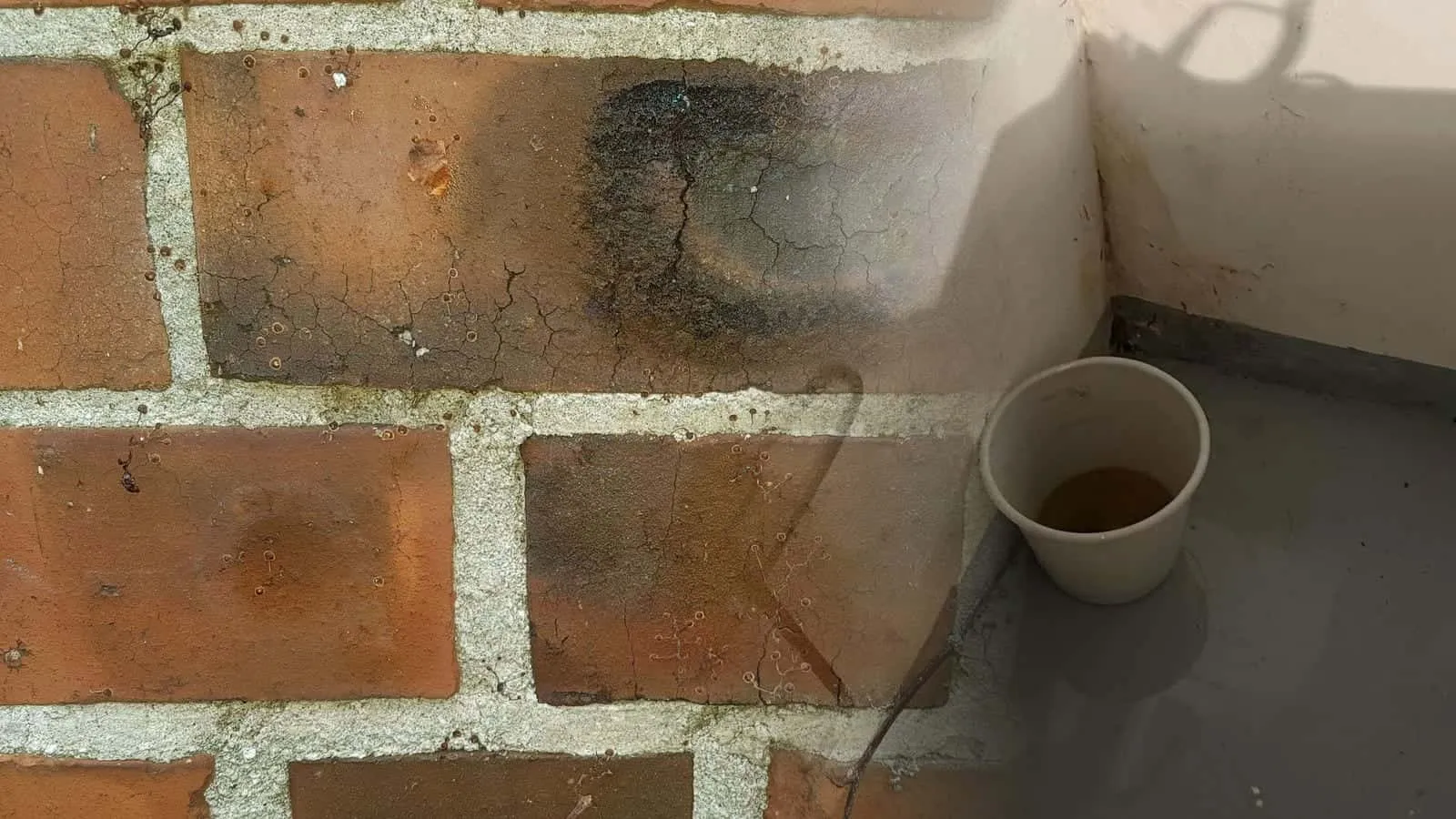 Eimer fängt braunes Wasser in einer fleckigen Kellerecke auf