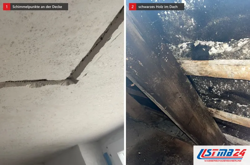 Zwei Bilder: links eine Betondecke mit Schimmelpunkten und einem Riss, rechts schwarz verfärbtes Holz auf einem Dachboden