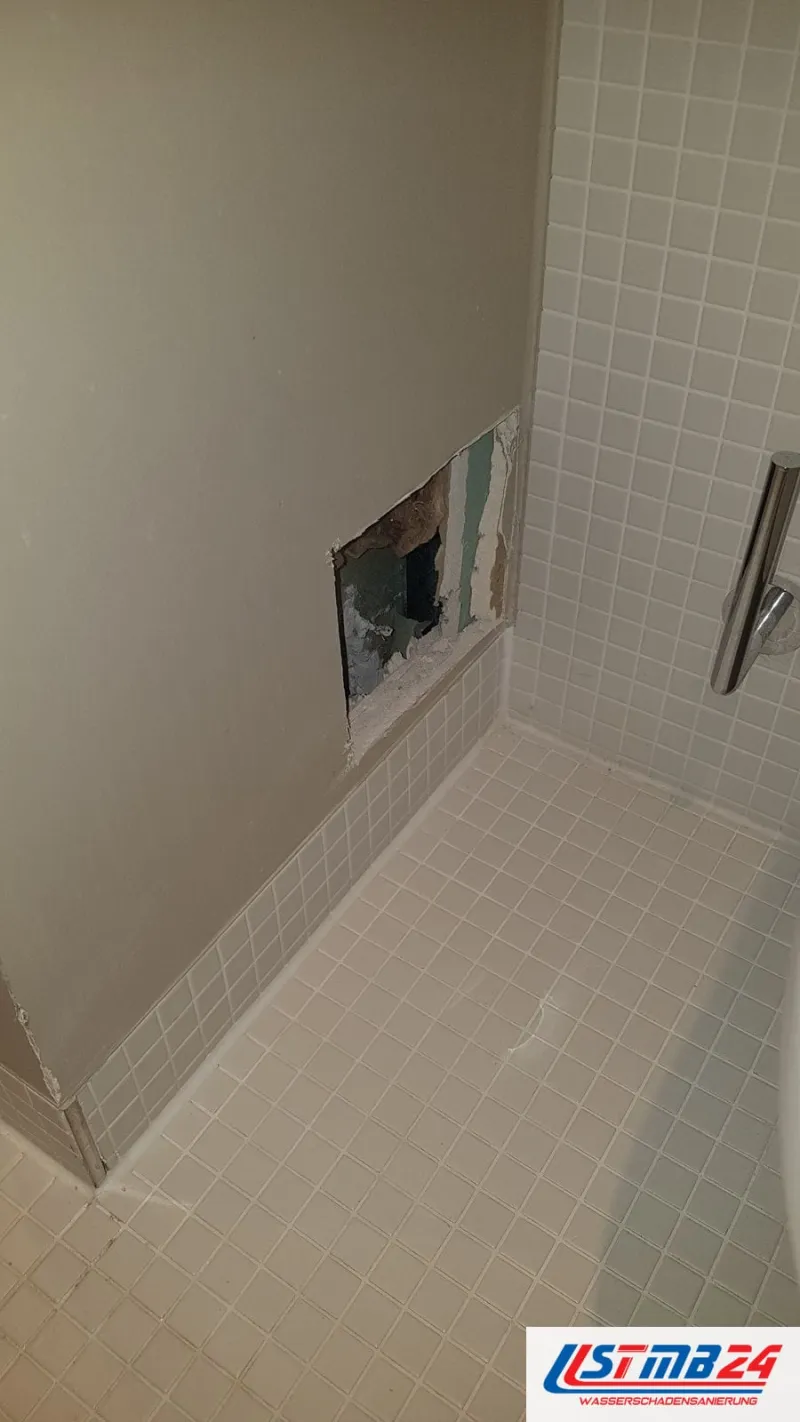 Dusche mit Mosaikfliesen, in der Wand eine kleine geöffnete Revisionsklappe mit Blick auf die Platte dahinter