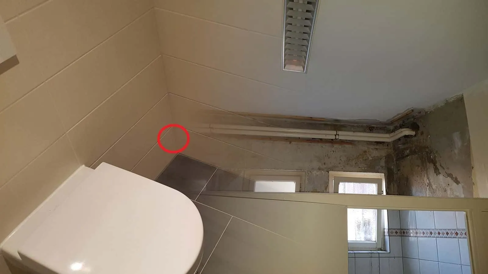 Bad vor der Sanierung, über den Fliesen mit Bordüre schwarzer Schimmel und abgeplatzter Putz, Rohre unter der Decke