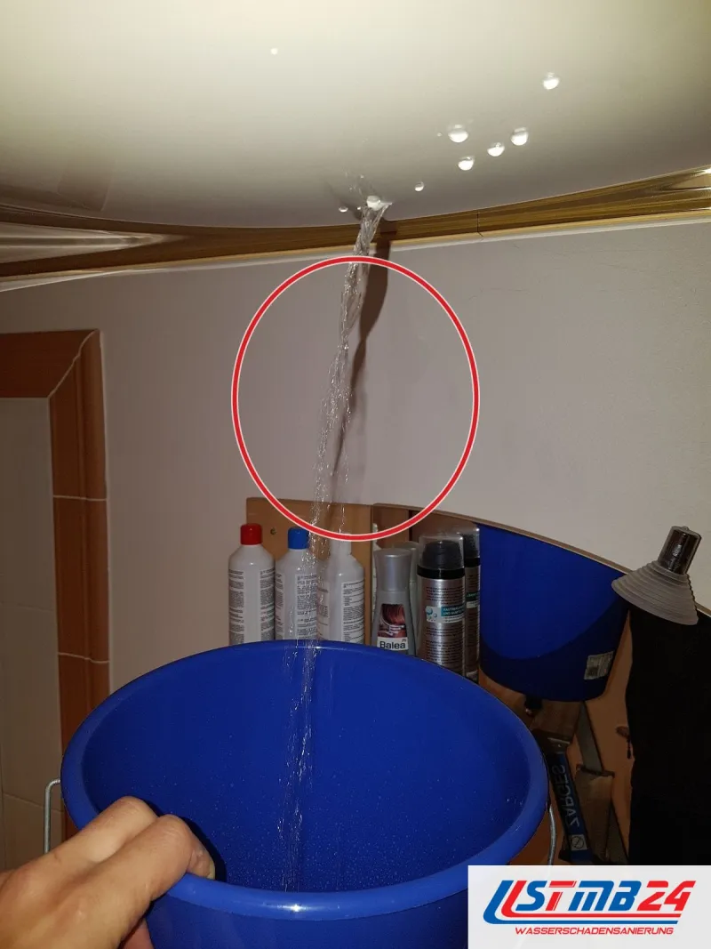 Wasser läuft als Strahl aus der Zimmerdecke, ein blauer Eimer fängt es auf, ein roter Kreis markiert die Stelle
