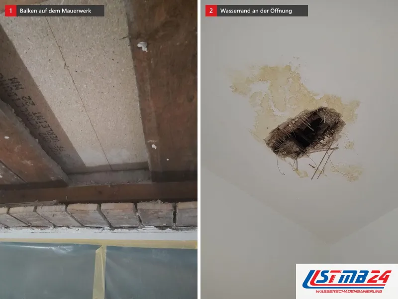 Zwei Ansichten: geöffnete Decke mit dunklen alten Holzbalken auf dem Mauerwerk, daneben Deckenöffnung mit braunem Wasserrand ringsum