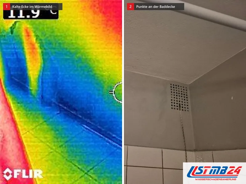 Zwei Ansichten: Wärmebild einer Raumecke, Boden und Wandfuß blau bei 9 Grad, daneben Baddecke mit Schimmelpunkten über der Fliesenkante