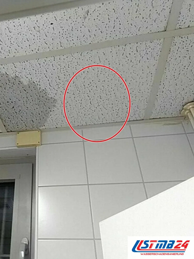 Abgehängte Rasterdecke über einem gefliesten Gewerberaum, eine Platte neben der Leuchte nass verfärbt, ein roter Kreis markiert die Stelle