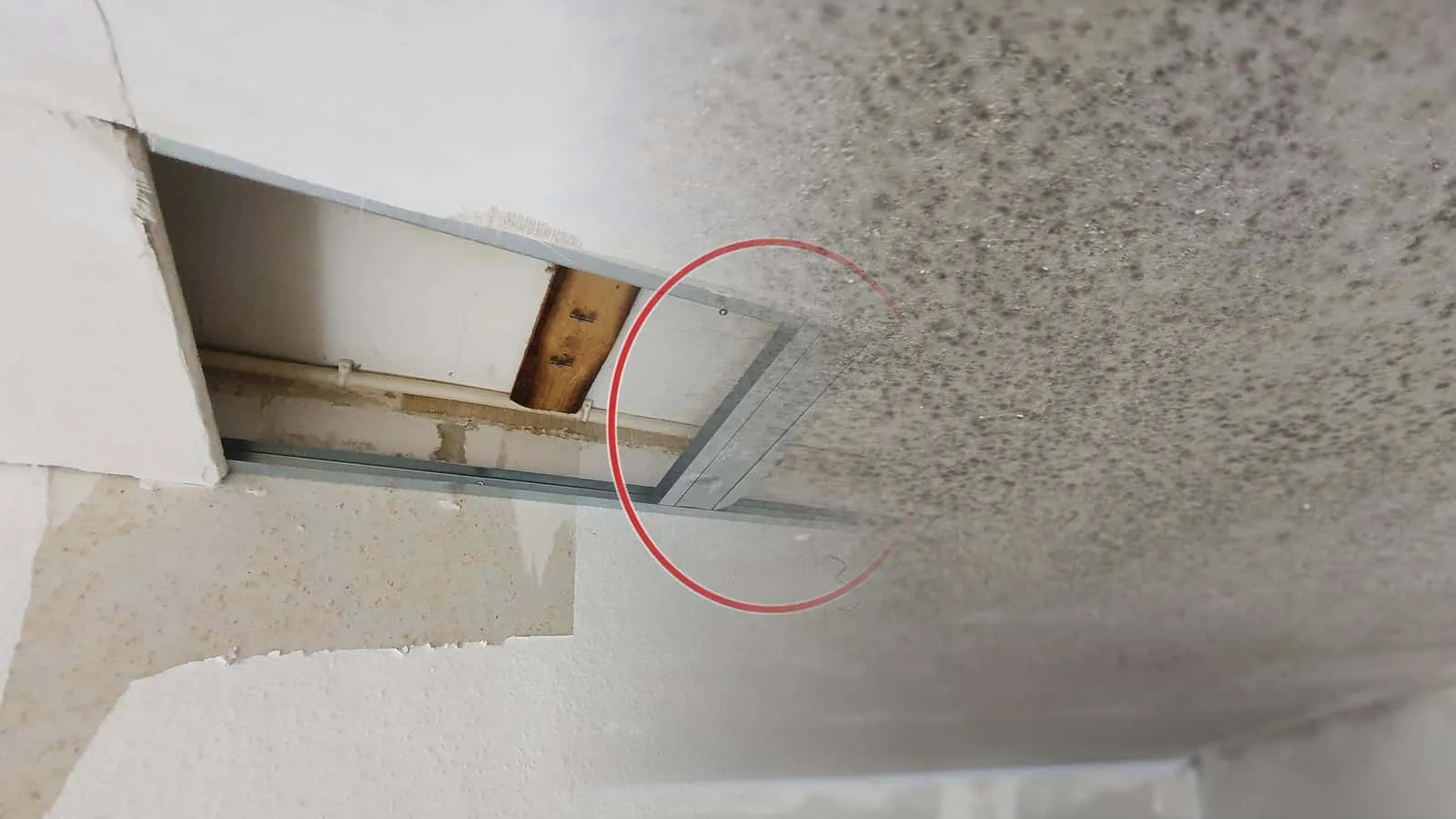 Dichte schwarze Schimmelpunkte auf einer Betondecke, zur Wand hin wird der Befall dichter