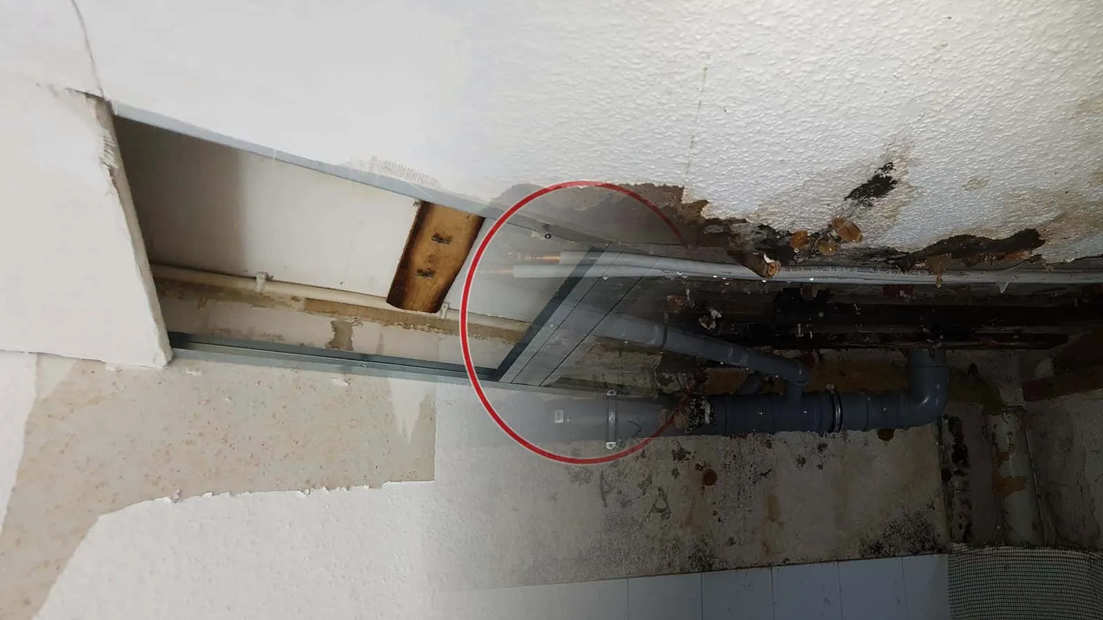 Offene Decke mit grauen Abwasserrohren und Leitungen, der Putz ringsum nass und dunkel verfärbt