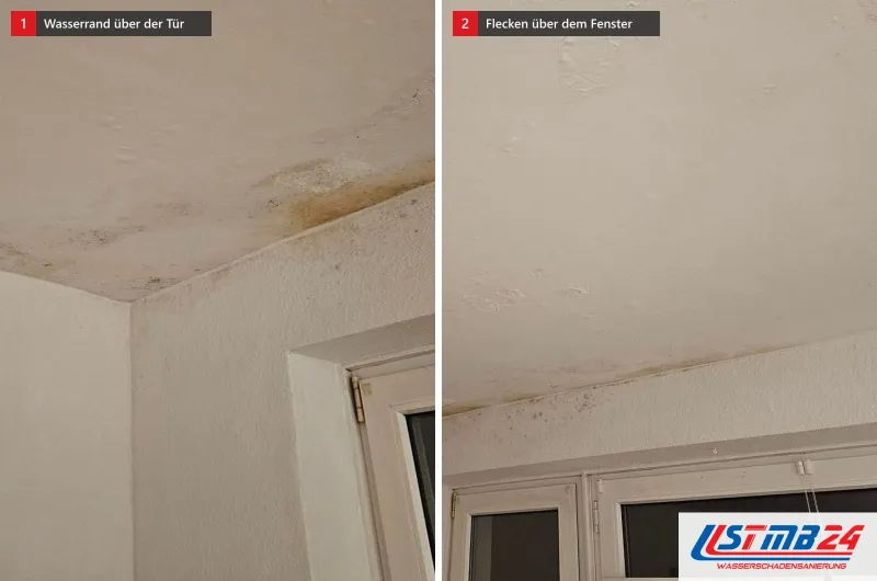 Zwei Bilder: gelbe Wasserränder in einer Deckenecke über einer Tür und dunkle Flecken entlang der Decke über zwei Fensterflügeln