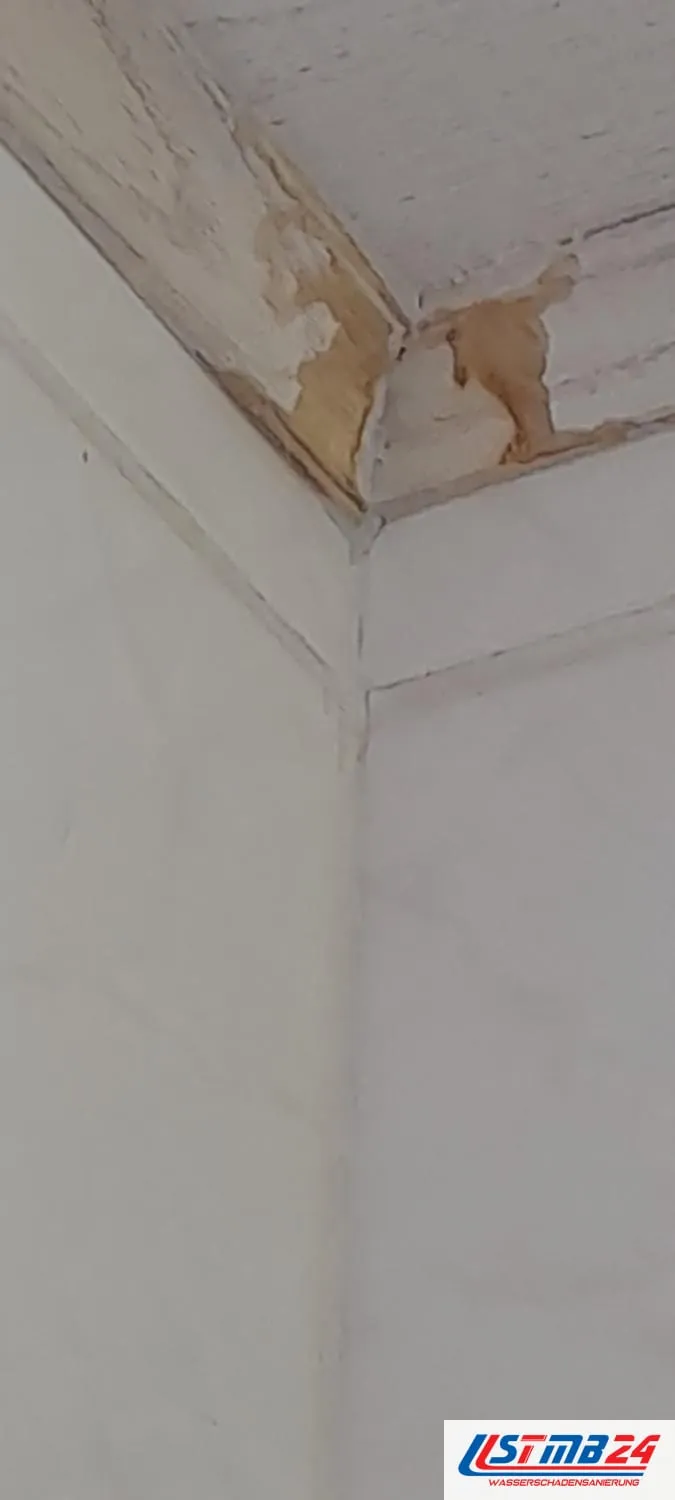 Deckenecke mit gelbbraunen Feuchteflecken und abblätternder Farbe über einer weißen Wand